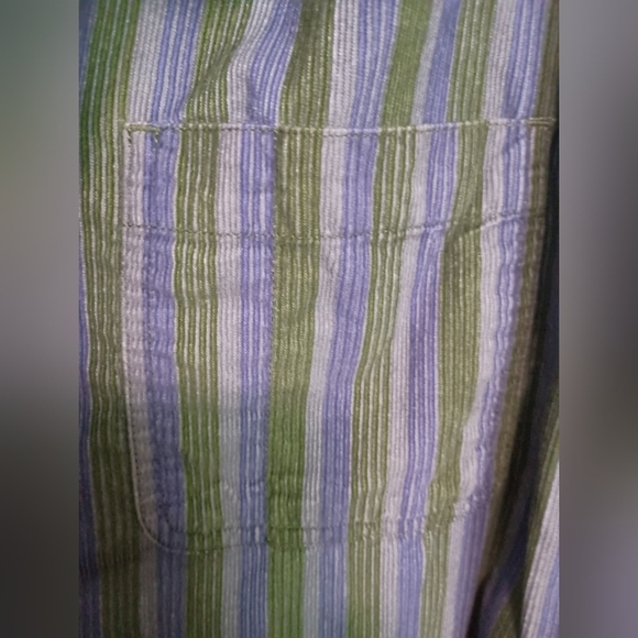BDG Men's Corduroy Green and Blue Striped Shirt_Large - Picture 5 of 9